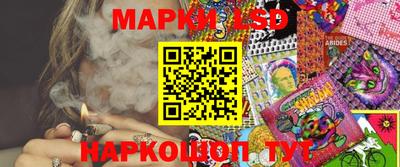 мдпв Камышлов