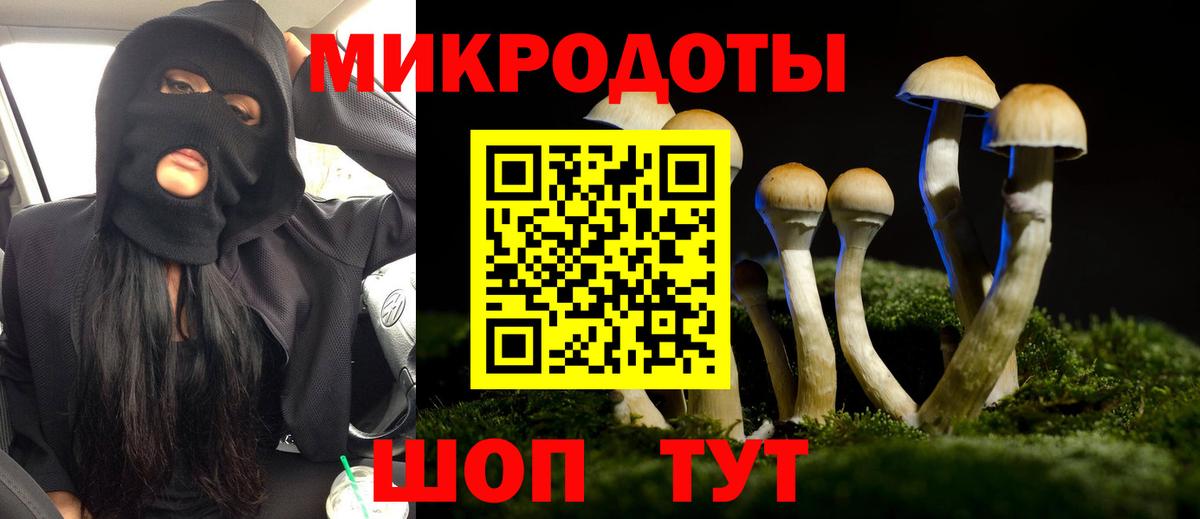 Галлюциногенные грибы Psilocybe  Вход с VPN  Краснокаменск  Псилоцибиновые грибы GOLDEN TEACHER 
